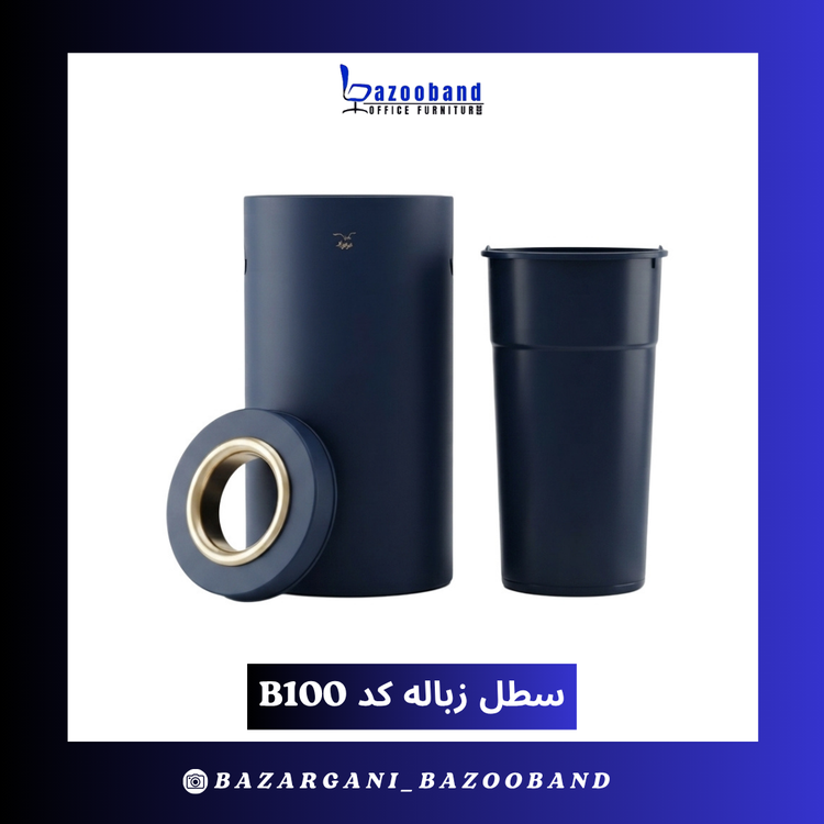 B100
