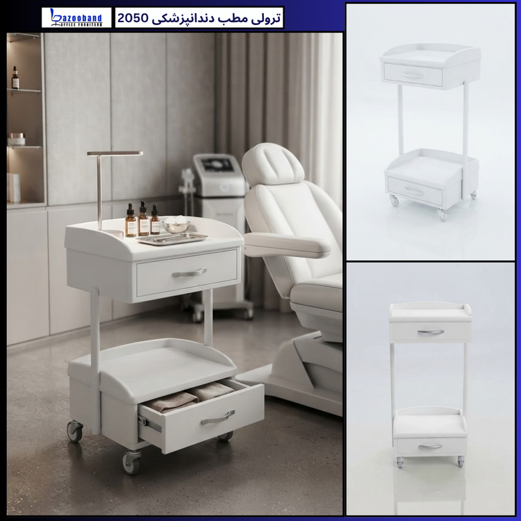 ترولی 2050